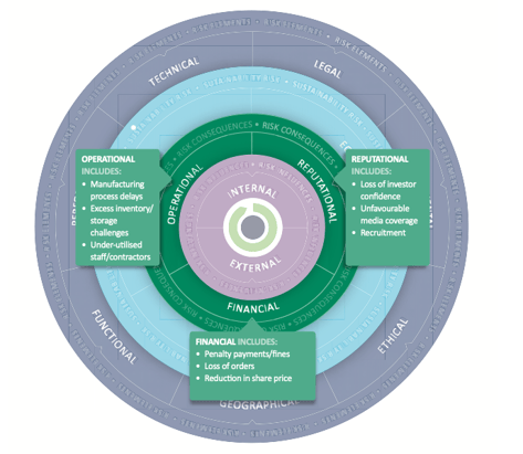 cips resilience model