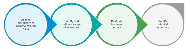 Climate Scenario Analysis process